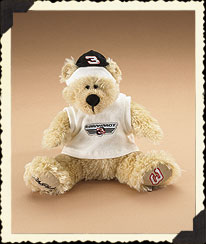 dale earnhardt ty beanie baby