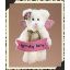 Birthday Fairy Bear - Boyd