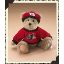Dale Earnhardt Jr. #8 - Nascar Plush