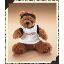 Tony Stewart Bubba Bear - Nascar Plush