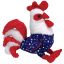 Homeland - Patriotic Beanies