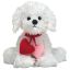 Loveypup - Valentine