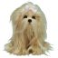 Bixie - Ty Classic Plush