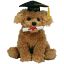 Grad - Ty Classic Plush