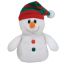 Chiller - Walgreens Beanies