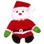 Santa - Jingle Beanies