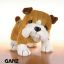 Bulldog - Webkinz