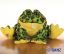 Bullfrog - Webkinz