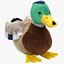Mallard Duck - Webkinz