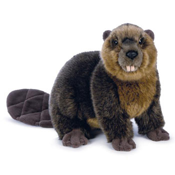 Beaver - Webkinz